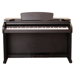 PIANO DIGITAL EKP300 ROSEWOOD